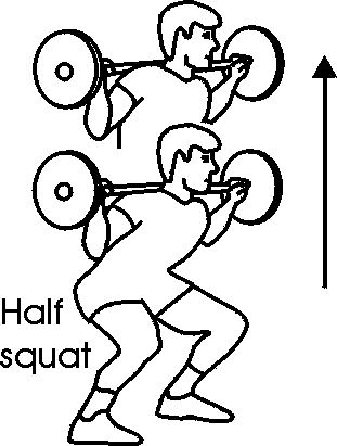 half squat