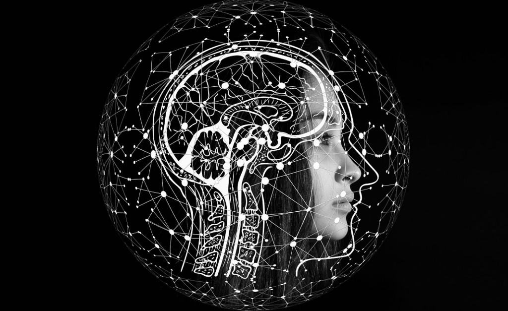 How Mind Leads to Emotional Intelligence Growth 2 How Mind Leads to Emotional Intelligence Growth