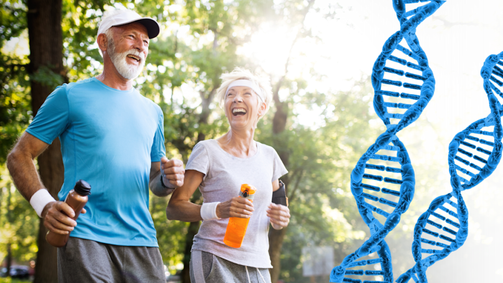 Genetics, Aging & Executive Fitness: The Future of Personalized Health 1 executive fitness