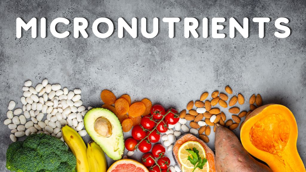 nutrition and hormone balance